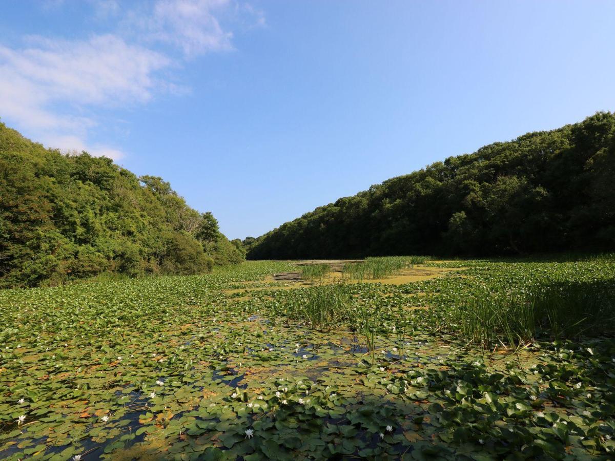 מילפורד הייבן 4 Honeyborough Farm Cottages מראה חיצוני תמונה